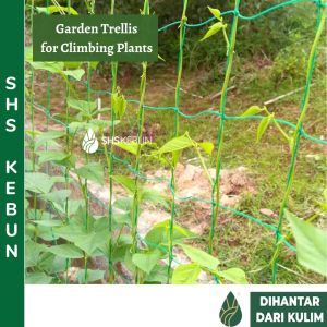 Garden Trellis Net Supportfor Climbing Vine PlantsSHS Kebun (1.8 x 2.7m) (Nylon)