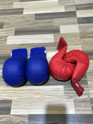 KARATE GLOVES