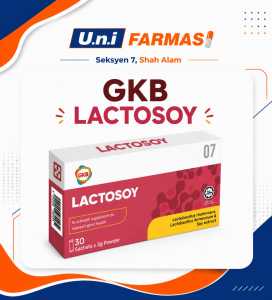 GKB LACTOSOY 30S