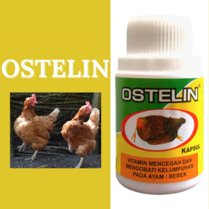 OSTELIN 50 KAPSUL - ayam lumpuh