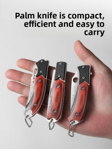 FUJUN | Foldable Fruit Knife Portable Utility Blade