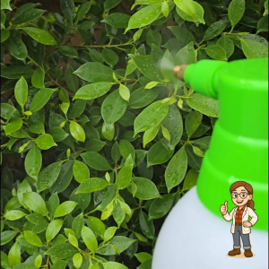 กระบอกฉีดน้ำแรงดันสูง ตราไชโย ขนาด 2 ลิตร