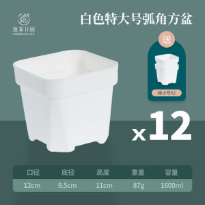 Thickened Plastic Flower Pots for Succulents Mini Black And White Square Frosted Breathable