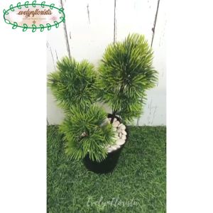 Tanaman Artificial Daun Lohansung Mini X3 Latex Pot Dasar Hitam Dekorasi Meja