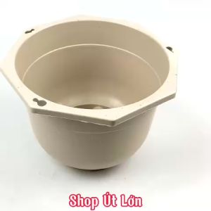 Chậu treo trồng hoa kiểng trang trí dây treo chịu lực 20kg