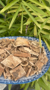[Hàng mới về] Tang bạch bì (vỏ rễ dâu) sấy khô 500g - Thảo Dược Tấn Phát - Hàng loại 1 chất lượng cao