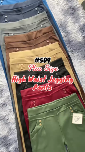 Jass Shop Plus Size High Waist Jegging Pants Fits From 30-34 Waistline 509