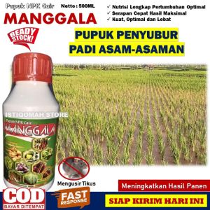 PUPUK PADI ASEM ASEMAN MANGGALA 500ML Obat Semprot Asem Aseman Pada Tanaman Padi Terbaik dan Ampuh Mengurangi Keasaman Pada Permukaan Tanaman Padi Sehingga Efektif Menghambat Perkembangbiakan Jamur yang Bagus Bisa COD Bayar di Rumah