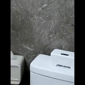 Toilet Smart Sensor Flush Contactless Infrared Sensor Button Flush Toilet Fully Automatic