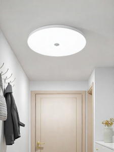 DGY | Body Induction Light & Sound Sensor 3-Proof Ceiling Light