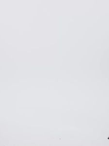 Contrast Color Round Neck Velvet Sensation Slim Fit Stylish Women T-shirt