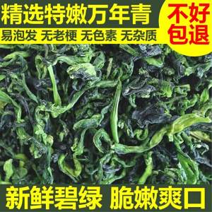 Premium Tender Dried Green Vegetable Cores