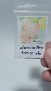 50 เมล็ด สตอเบอรี่สีขาว White Strawberry สตอเบอรี่ สตรอเบอรี่ เมล็ดสตอเบอรี่ เมล็ดสตรอเบอรี่ สตรอว์เบอรี่ สตรอเบอรี่สีขาว