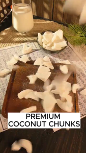 Coconut corners coconut slices coconut chunks dried coconut and coconut meat as a snack椰子角椰子片椰子块椰子干椰子肉休闲零食