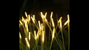 1/2PC 6/8/10 LED Solar Bubble Column Reed Courtyard Light Outdoor Garden Light Suitable For Garden Pond Lawn Decoration