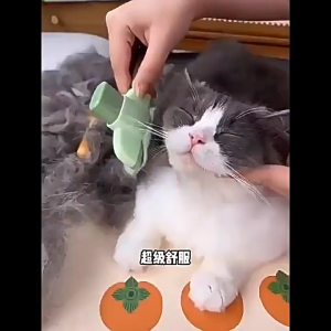 Sikat Kucing Pet Comb Sikat Bulu Kucing Untuk Menghilangkan Kusut Bulu Easy To Clean 宠物梳