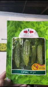Benih Bibit Pare Paria Opal F1 Isi 50 Butir (10gr) 100% Original Panah Merah