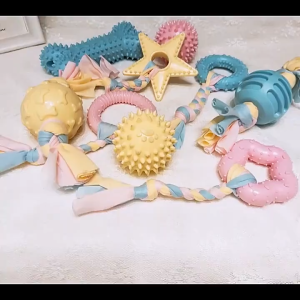 Japan Nagasaki Pet Toy Supplies: Tennis Ball Clean Molar Cotton Braided Bone and Puppy Dog Rope