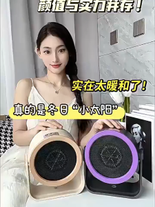 【SG In Stock】Mini Electric Heater Portable Heating Fan Circulation Hot Air Blower Ceramic Heating Machine Low Noise