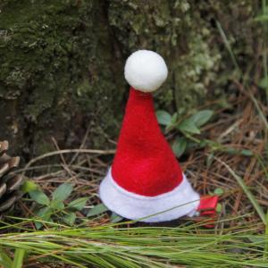 กิ๊บติดผมรูปหมวกแดงวันคริสต์มาส Adorable Holiday Gift เครื่องประดับผม สไตล์แฟชั่น หมวกแดงวันคริสต์มาส กิ๊บติดผมแบบสวม สีสันสดใส