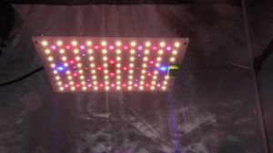 LM301h EVO 65w dimmable plant growth lamp used for plant growth and flowering