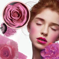 3D Petal Rose Makeup Blush 4 สีของขวัญ Highlighter Rare Beauty Blush ยาง Forma Rosa Real Rose ดอกไม้ Blush Shimmer แต่งหน้า. 
