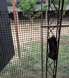 Plastic Fence Net 10M/25M/50M/100M/200M Chicken Net Outdoor Net Orchard Garden Poultry Breeding Climbing Net