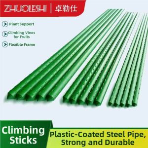 ZHUOLESHI | Plant Support Frame