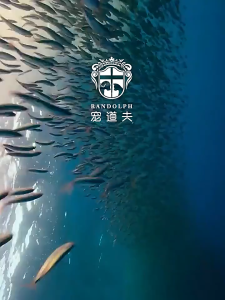 Thức ăn cho mèo Anh lông ngắn RANDOLPH | Độ đạm cao Dinh dưỡng chuyên biệt Mượt lông