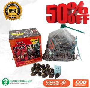 (TERLARIS)BENIH KECAMBAH sawit PPKS SMB/239 MEDAN Asli isi 250 butir BERSERTIFIKAT BELI 1 free serfikat