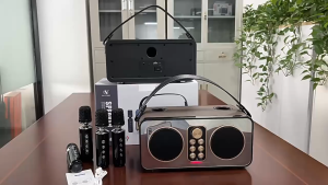 Portable Bluetooth speaker with mic fit for outdoor Family party with 3D stereo and colorful LED dance lights