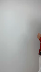 Raw Heart Mini Boston Handbag Crossbody