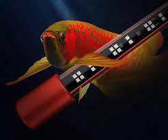 ĐÈN LED CÁ RỒNG MAYIN SUPER COLOR 52CM 72CM 92CM 112CM 142CM MÀU ĐỎ MÀU VÀNG. BÓNG ĐÈN HỒ CÁ RỒNG