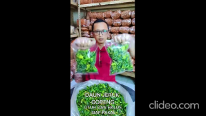 USAHA SEBLAK - DAUN JERUK GORENG 250gr. 100% daun jeruk sayur asli Untuk kebutuhan memasak campuran jamu dan sebagai bumbu tabur