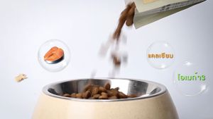 (680g 1ฟรี1) Taste Of The Wild อาหารสุนัข ครบทุกสูตร Holistic Grain Free