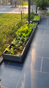 Chậu ghép thông minh HDPE/PP 200x100x23cm: Thẩm mỹ bền bỉ dễ lắp đặt phù hợp mọi cây trồng đô thị