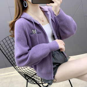 Fall Fashion Hooded Knitted Open Cardigan Womens Loose Stylish Sweater Jacket Early Autumn Casual Chic Long Sleeve Zipper