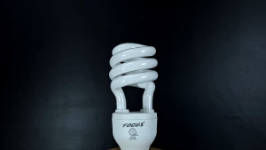 Focus Spiral Bulb Daylight
