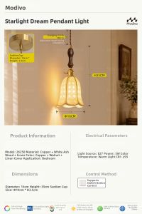 FANCY LAMP CLUB | Vintage French Small Pendant Light