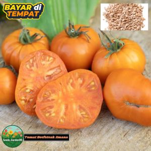10 BUTIR BIJI/BENIH TANAMAN TOMAT BEEFSTEAK AMANA ORANGE