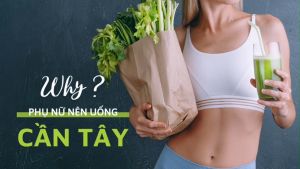 Bột cần tây sấy lạnh Dalahouse - Hộp 40 lần sử dụng - Không đường nguyên chất hữu cơ. Giảm cân hạ huyết áp thải độc