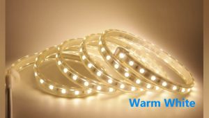 LAMPU LED STRIP SELANG 5050 SMD PALET 40M 50M 60M 220V SIAP PAKAI FREE ADAPTOR SOKET