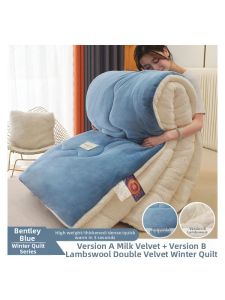 MOLORE | Double-Sided Warmth Lamb and Milk Velvet Bed Blanket Duvet Insert