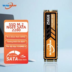 Walram | Ổ Cứng Thể Rắn Nội Bộ WALRAM 512GB SSD SATA M.2 NGFF 1TB Cho Máy Tính Để Bàn Máy Tính Xách Tay - Kích Thước 2280 Nâng Cấp Lưu Trữ Tốc Độ Cao