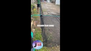 Keramba Ikan Waring Jaring Penangkap Ikan RK 3 Bar Anyaman 9mm² Siap Pakai