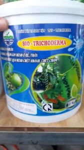 NẤM TRICHODERMA 5 CHỦNG Mật Độ Cao Bột Hòa Tan 2 KG