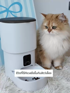 Smart Pet Feeder เกรดพรีเมี่ยม สําหรับสุนัข แมว เครื่องให้อาหารสัตว์เลี้ยงอัตโนมัติ สัตว์เลี้ยง เครื่องให้อาหารอัตโนมัติ ที่ให้อาหารสัตว์อัตโนมัติ ชามข้าวแมว เครื่องให้อาหาร ชามอาหารหมา