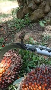 KEELAT Sickle Set Oil Palm Harvesting Sickle Sawit Oil Palm Sickle 1 Set Palm tree knife + Connecting handle