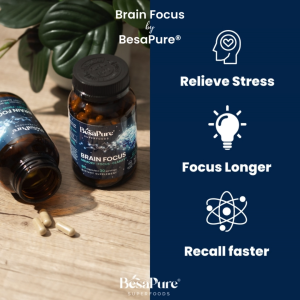 Brain Focus Natural Nootropic Stress Relief & Focus Enhancement [Performance Brain Supplement]