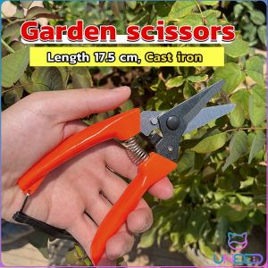 Need Garden pruning gardening cast iron scissors plant flower fruit tree branches hand pruning knife